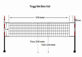 Net Voli Yang Bagus